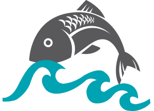Fresh Fish Guide